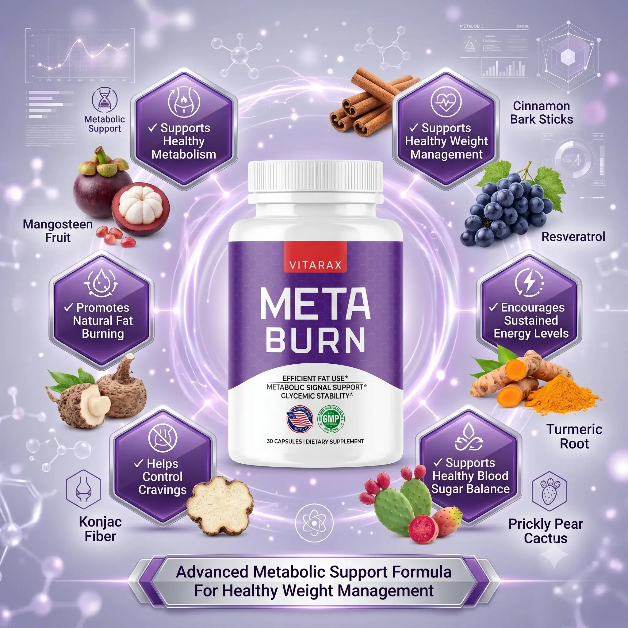 metaburn-ingredients-infographic